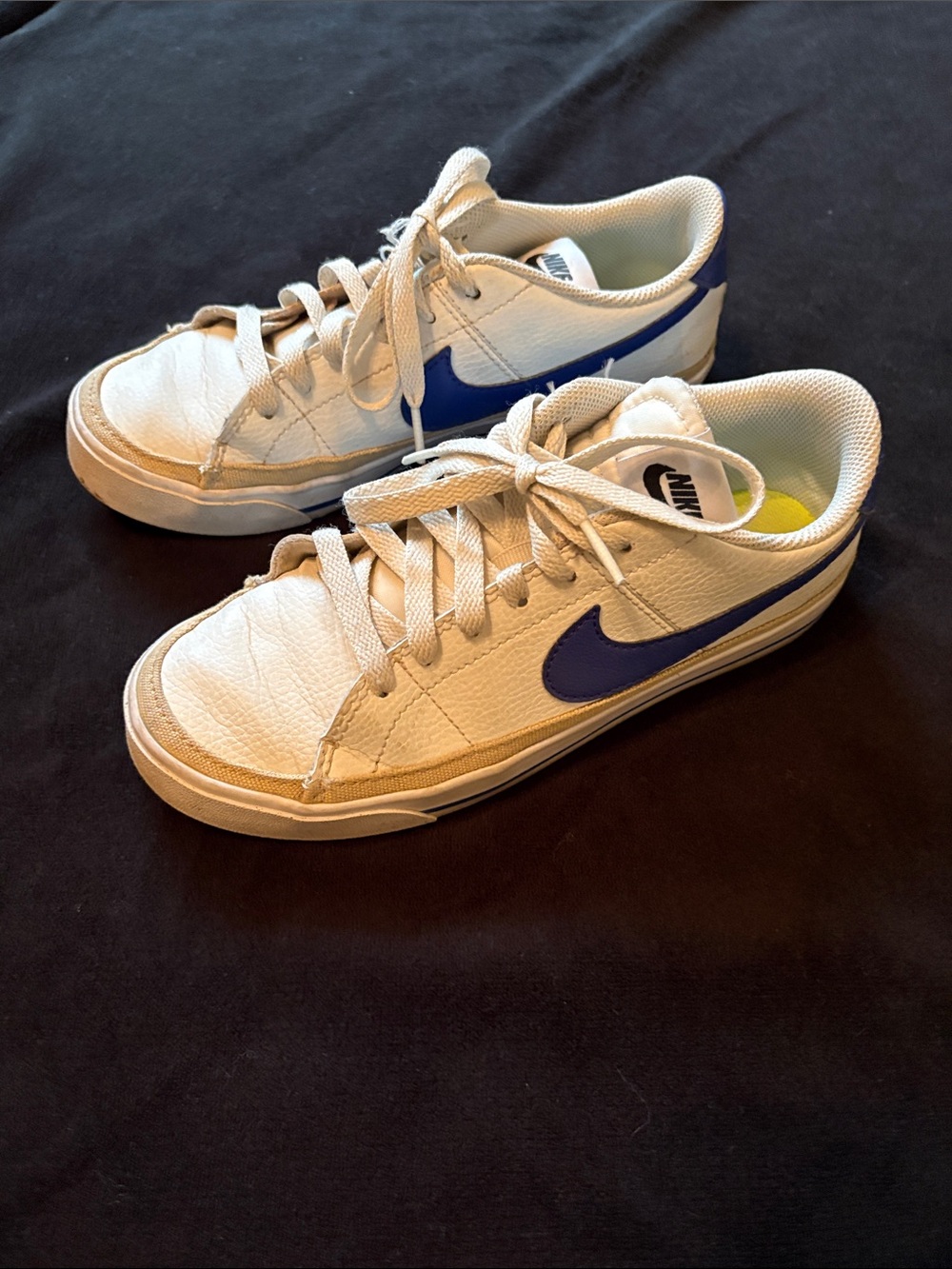 Women’s Nike Court Legacy Next
Nature DH3161-104 | US Size 7